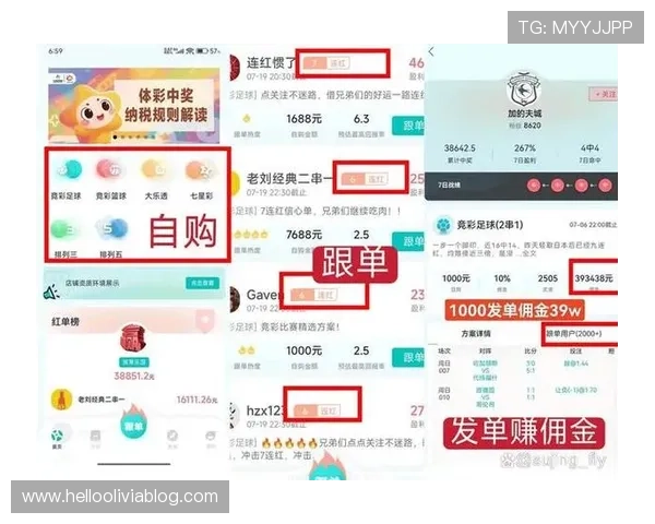 足彩加官方应用下载安装指南，详细步骤确保用户安全获取正版软件畅享足球竞猜乐趣